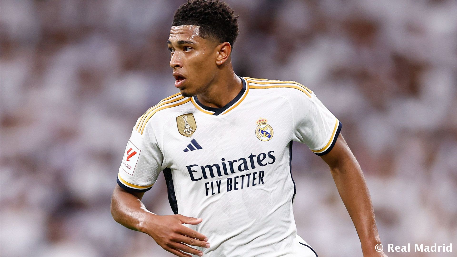 世界杯早场比赛汇总：小组赛43场淘汰赛10场，1／4决赛后无早场（世界杯早场赛程汇总：小组赛43场、淘汰赛10场，四分之一决赛后不设早场）