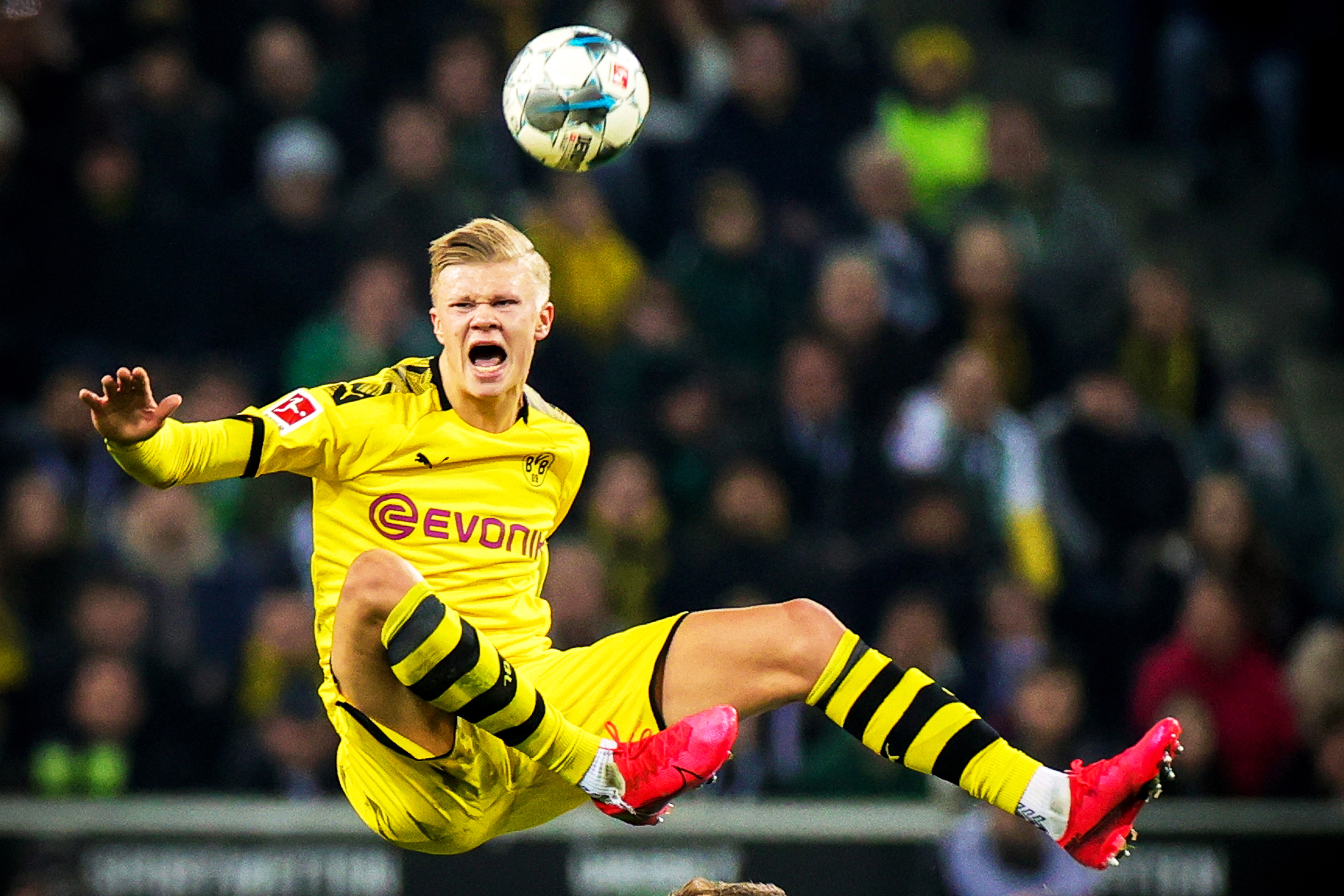 徐云龙谈国安亚冠小组出局：别再出去丢人现眼就行了（徐云龙评国安亚冠止步小组赛：别再出去丢人现眼就行）